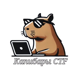 Капибары и CTF 🏆