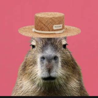 капибара в шляпе