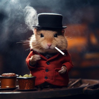 Хамстер Комбат 🔹Комбо Карты