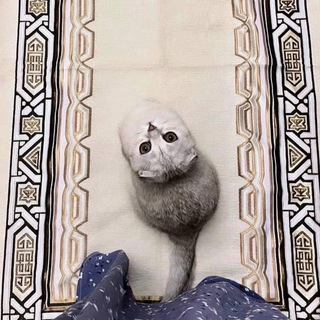 Ｃａｒｐｅ ｄｉｅｍ