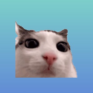 туторы - файлы