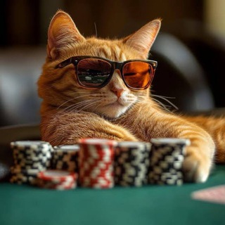 Лудка котика