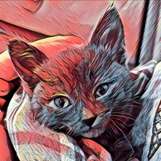 КотоДонецк. Жизнь на грани ...