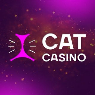 CAT OFFICIAL CASINO