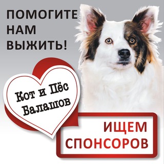 Кот и Пёс Балашов