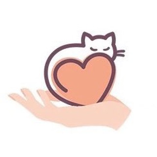 Приют для кошек «Кошачье сердце»🐈 Екатеринбург🐱