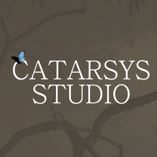 Catarsys Studio