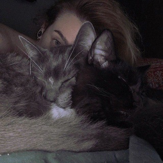 🍀кисий блёв🍀