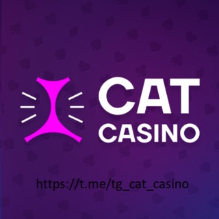 Cat casino зеркало