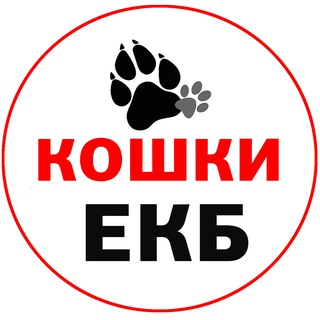 Кошки бесплатно в добрые руки ЕКБ и СО