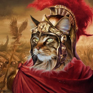 Архив Кота Легата