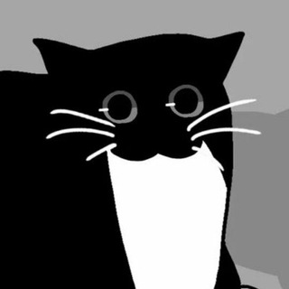 Кошка-картошка 🐾