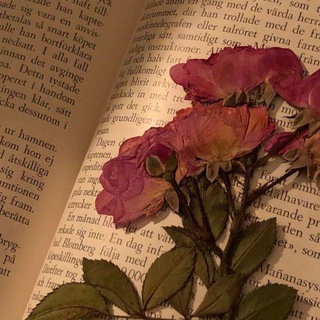 Котики о книгах