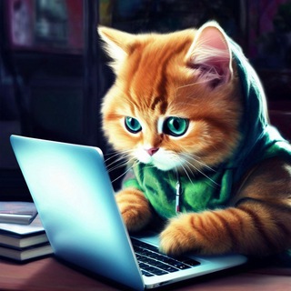 🐾 Котики в Сети