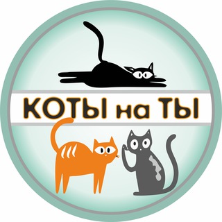 Коты на "ты"