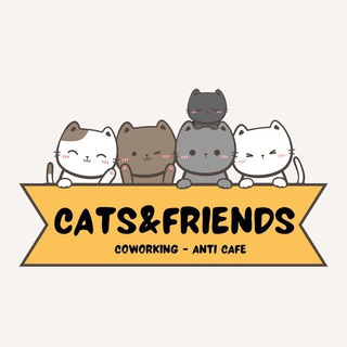 Cats And Friends