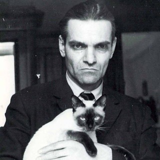 человек и кошка