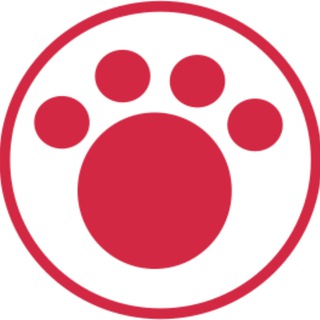 CAT*SMILE🎁Сувениры и подарки