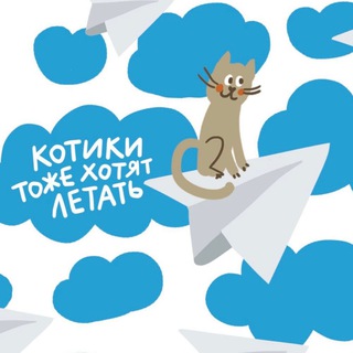 📣 CatsMuseum🐾CatsRepublic🐈CatCafe☕️