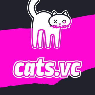 Cats.VC: AI, Fintech, LATAM и Мир