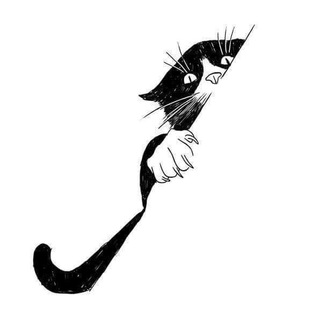 Веселый кот