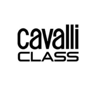 🇮🇹 Сумки из Италии CAVALLI CLASS