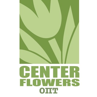 CENTER FLOWERS 🌷 Тюльпаны и посадочный опт