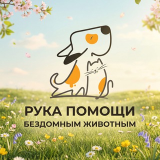 РУКА ПОМОЩИ БЕЗДОМНЫМ ЖИВОТНЫМ
