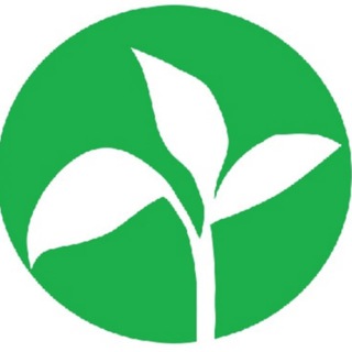 Центр здоровья Устиновой самое ценное