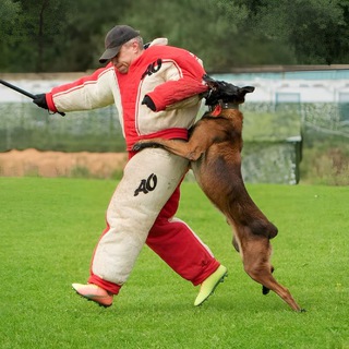 Собака-кусака