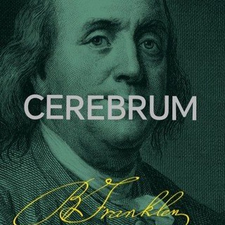 CEREBRUM UP