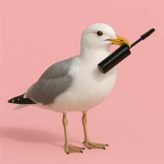 чайка красит