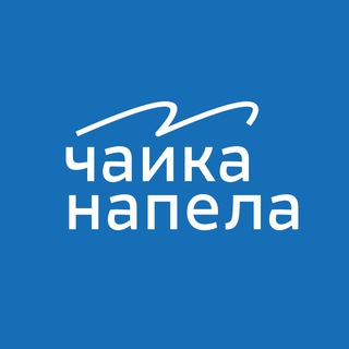 Чайка напела | медиа о Владивостоке