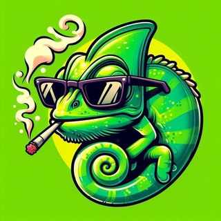 Turbo⚡️Chameleon_live🦎