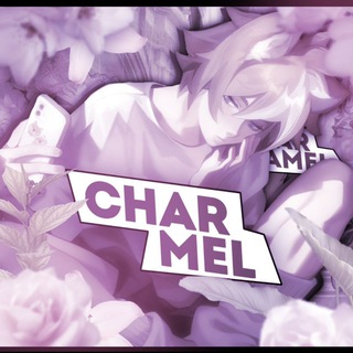 ᴄʜᴀʀᴍᴇʟ.⊹๋࣭