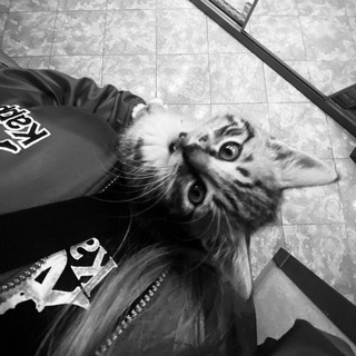 треки из тик тока