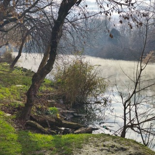 24 часа жизни