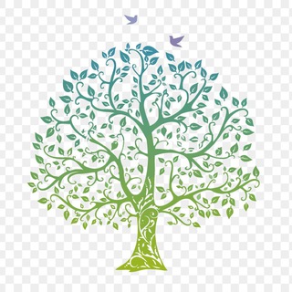 Недвижимость. Международный рынок