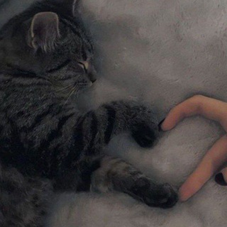 Общаться? Чатик друзей