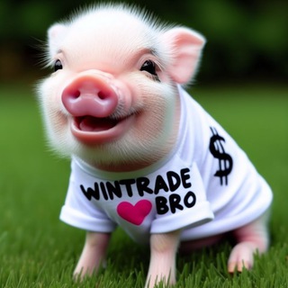wintrade bro🙊