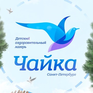 МЕДИА ЧАЙКА