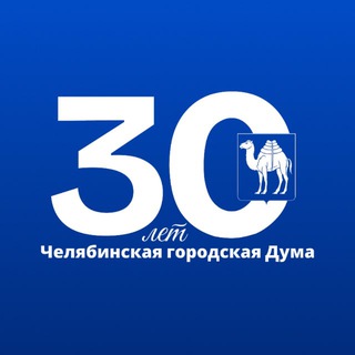 Челябинская городская Дума