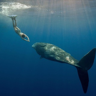 Человек за бортом