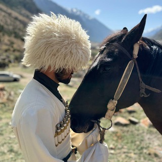 КОННЫЕ ПРОГУЛКИ ПОХОДЫ 🏇🏻🏕ПРИЭЛЬБРУСЬЕ "best walks"