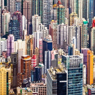 Человейник