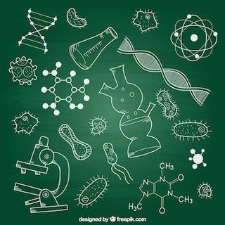 Химбио с Никой 🥰♥️