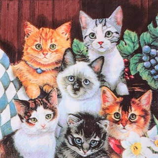 Студенчество c wildberries