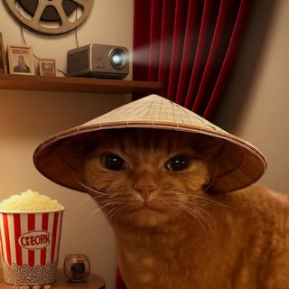 SGF|Sugo Screen Feed