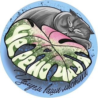 🪴 ЧЕРЕНОЧНАЯ 🪴