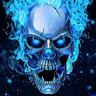 Череп "Зенит"